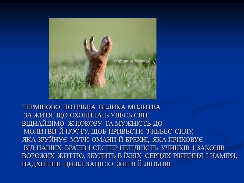 ТЕРМІНОВО ПОТРІБНА ВЕЛИКА МОЛИТВА  ЗА ЖИТЯ, ЩО ОХОПИЛА Б УВЕСЬ СВІТ. ВІДНАЙДІМО Ж